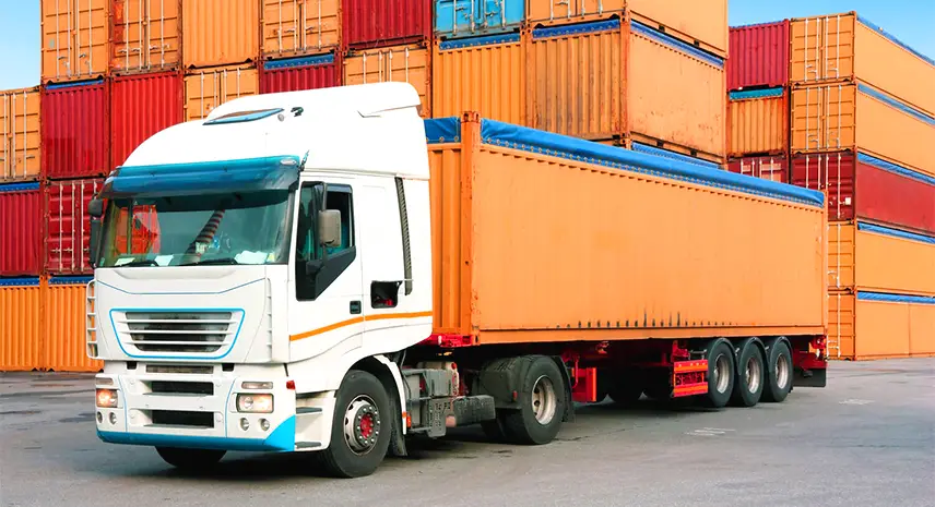 Domestic Express Delivery Services